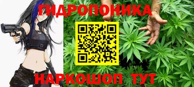 круглые Вязьма