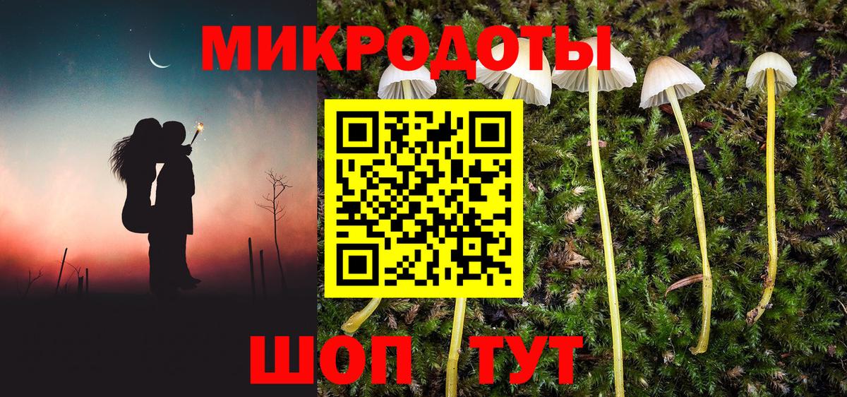 Галлюциногенные грибы Cubensis  Вход с VPN  Топки 